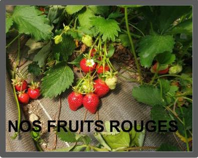 Presentation sans titre 1