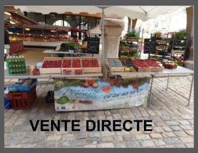 Presentation sans titre 2