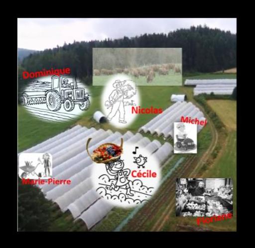 Presentation sans titre 4