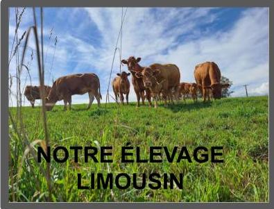 Presentation sans titre